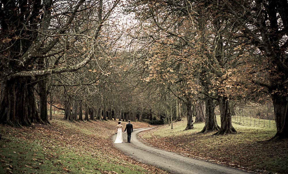 insight photography